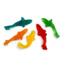 Assortiment Bonbon Requin Gélifié Dulceplus